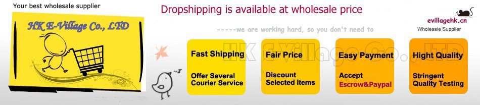 HK E-Village Co., LTD