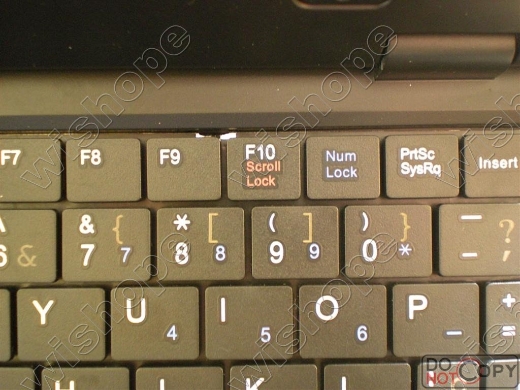 DSCN5017 ().JPG