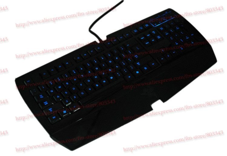 nEO_IMG_T1MZFIXjBgXXcdCZg4_051927[1].jpg