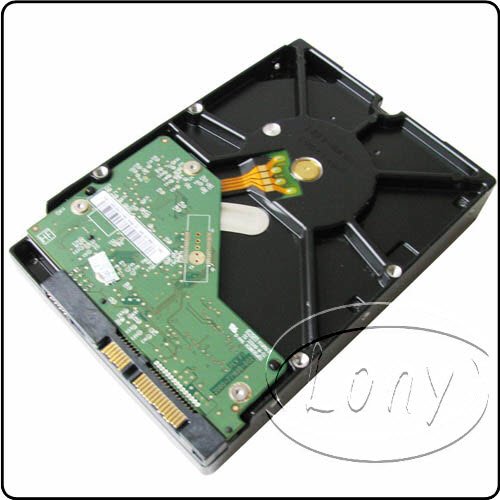 we-2tb-d4-004.jpg