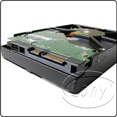 we-2tb-d3-003.jpg