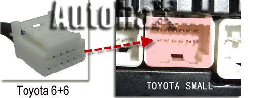 TOY6+6 CDC_LOGO.jpg