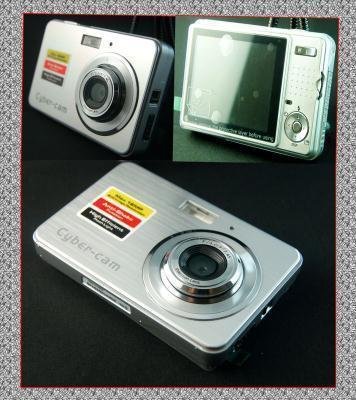 Silver 12.0 MP Anti Shake and Speed Digital Camera
