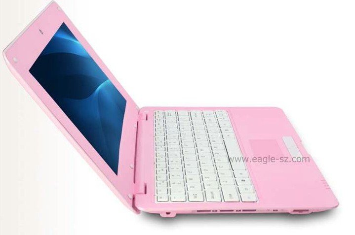10 Inch VIA WM 8505 300MHz Wifi 0.3MP Camera Netbooks