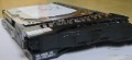 3.5" HDD 10000Rpm Speed 80GB - 160GB Capacity 8MB Cache Hard Drives