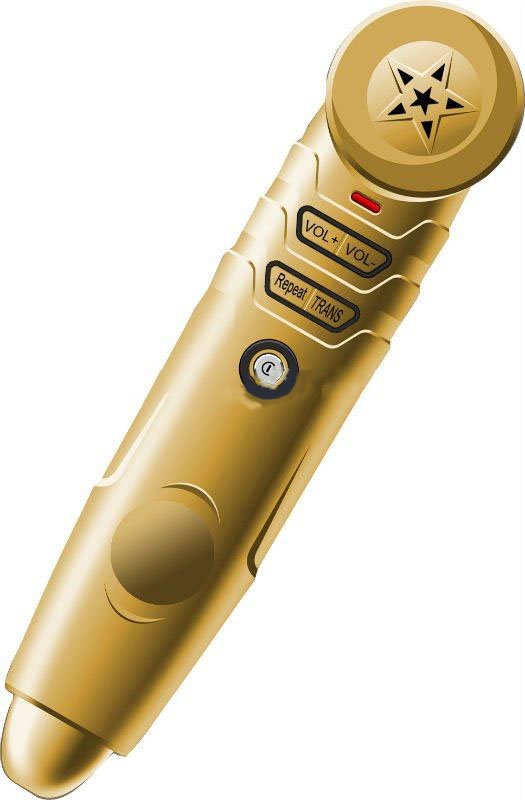 Voice Recording Multi-language 4GB Memory Capacity Quran Players