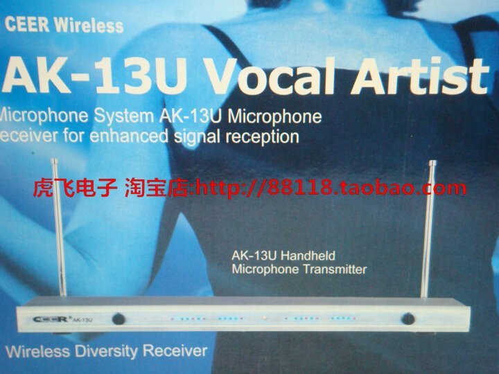Wireless Professional Black Microphone