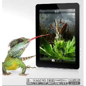 8" Andriod 2.3 1G DDR3 8GB HD Tablet PC