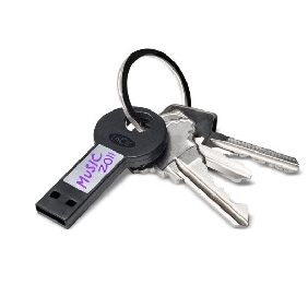 Black Key Style 8G With Encryption Technology USB Flash Drives